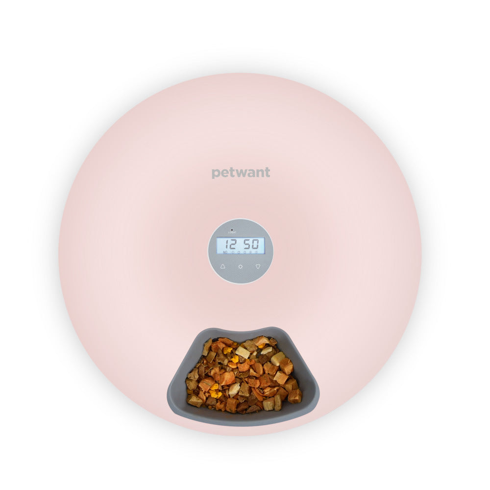 6 meal Automatic Timed Pet Feeder for cats