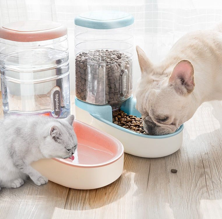 Pet Dog Automatic Feeder white model with food bowl and large water dispenser combo