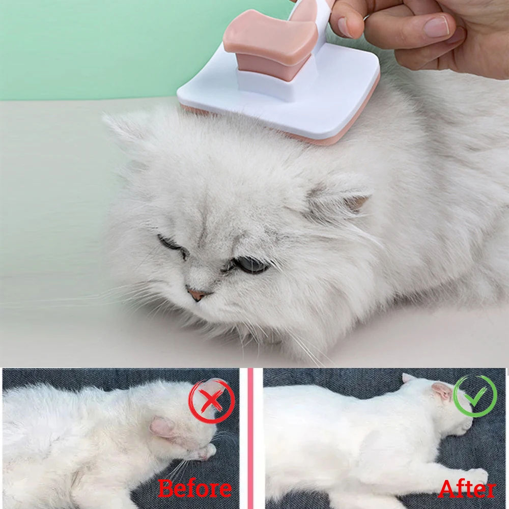cdc65b6b33b7e2f096f09901384607f4