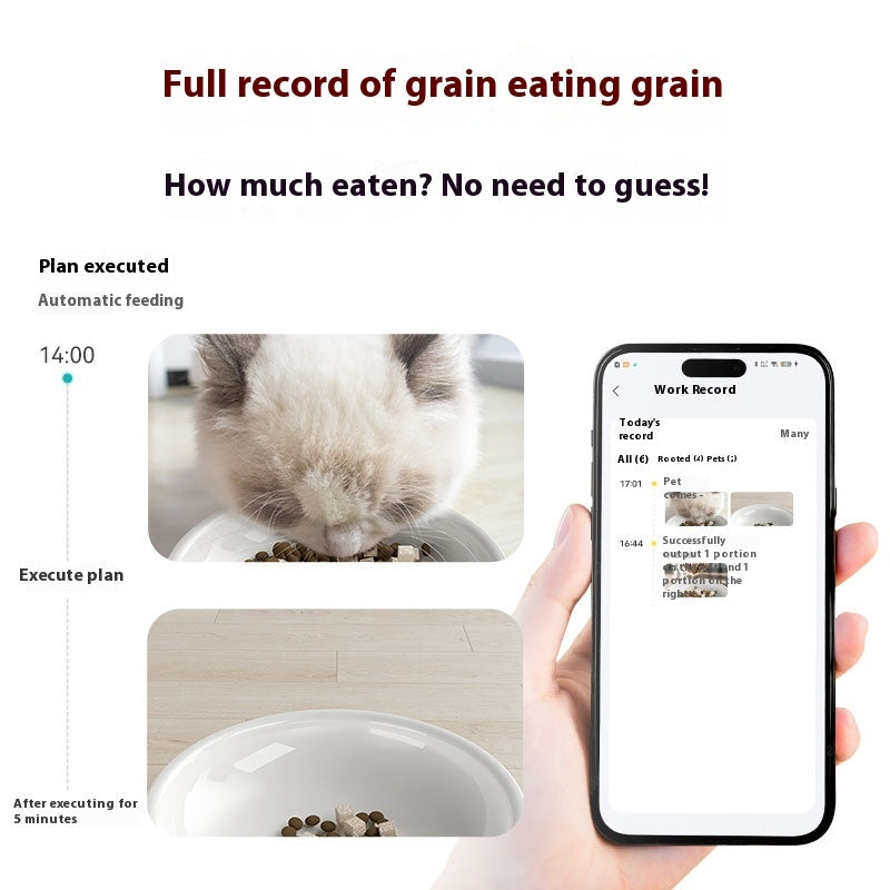 Automatic Cat Feeder food and water system