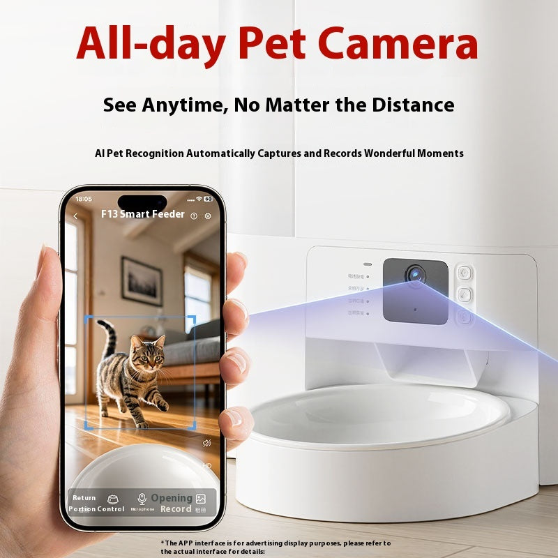 All-in-one Automatic Cat Feeder for cats