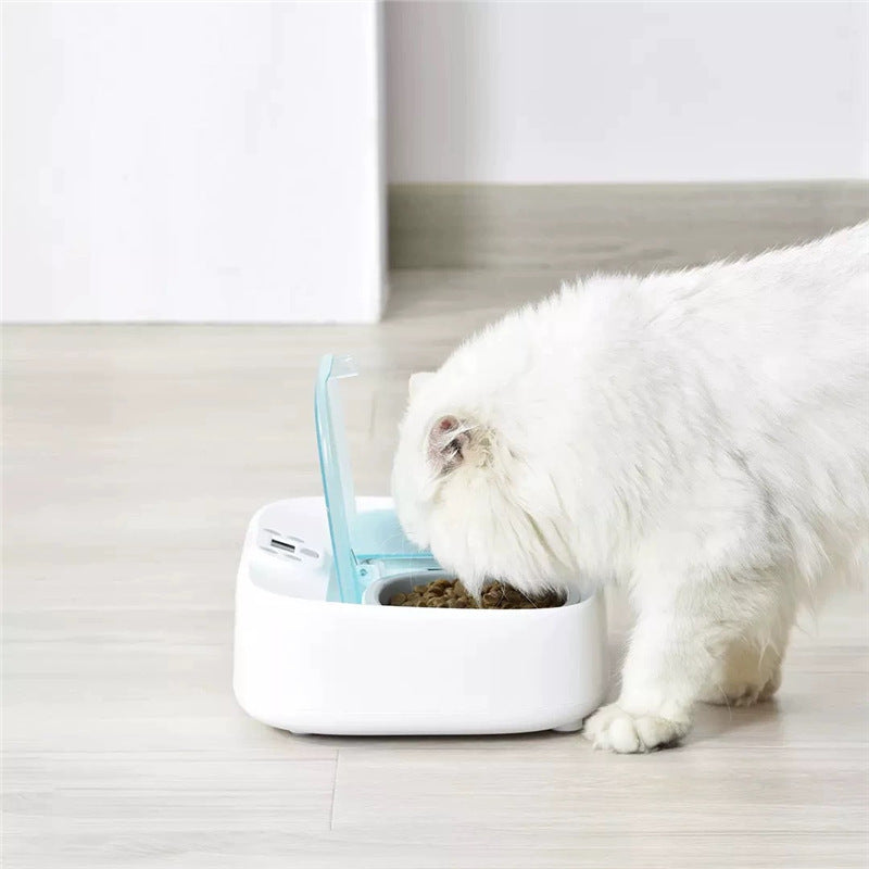 Smart Automatic Dual-Feeding Pet Feeder with Timer in use by a white cat.